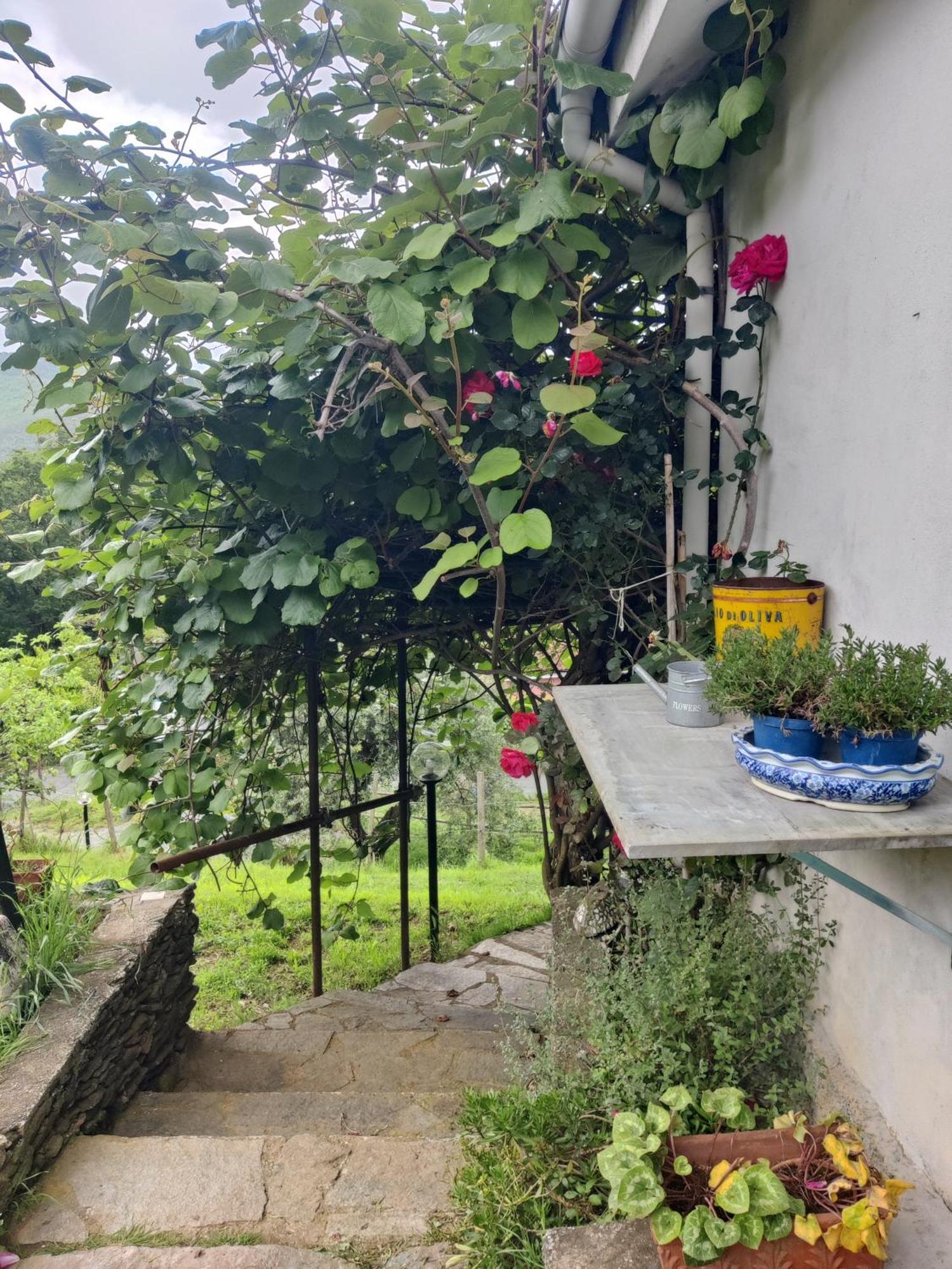 Casa Bartola Apartman Stella Szoba fotó